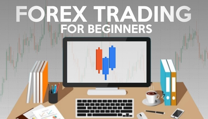 Image result for Forex Trading for Beginners