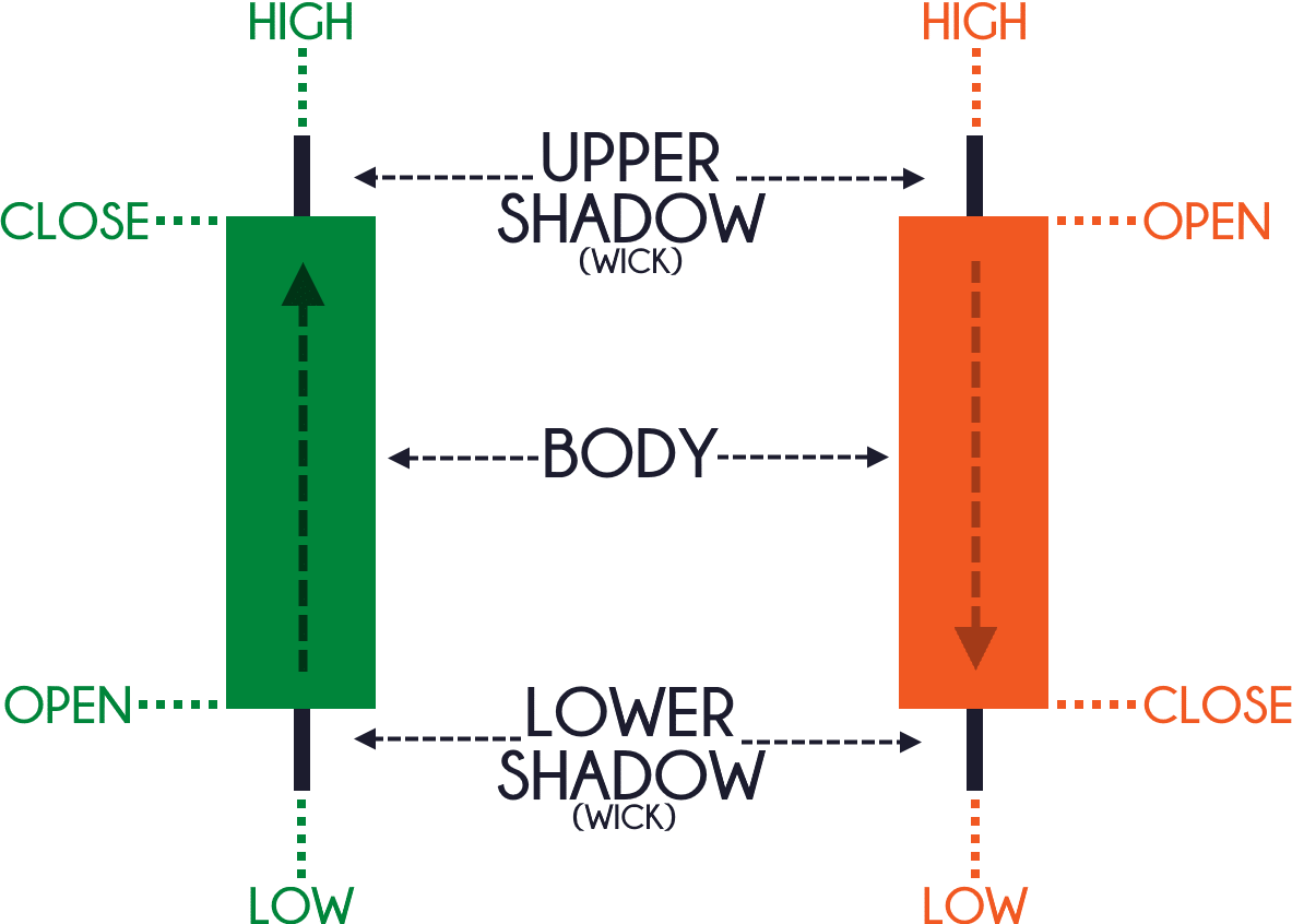 beginner to forex trading