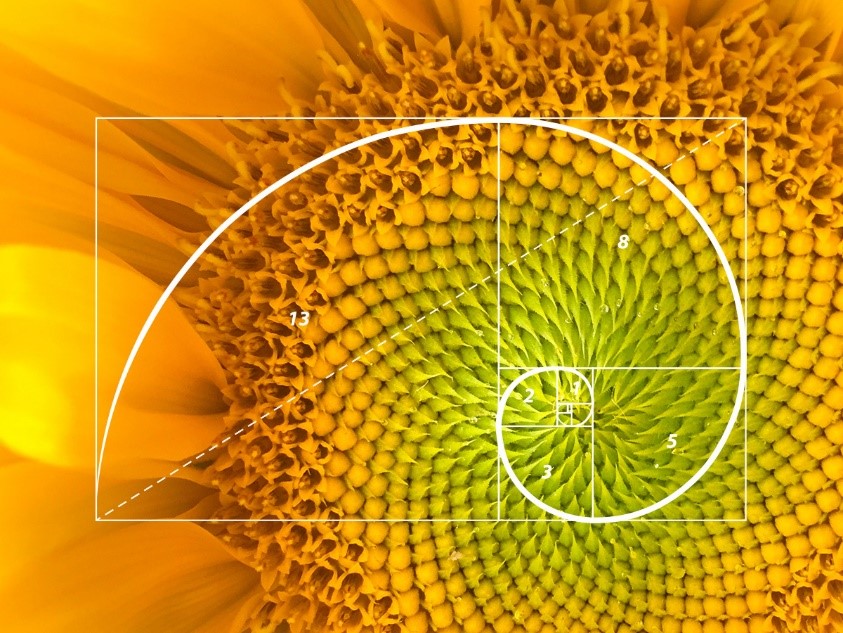 fibonacci trading