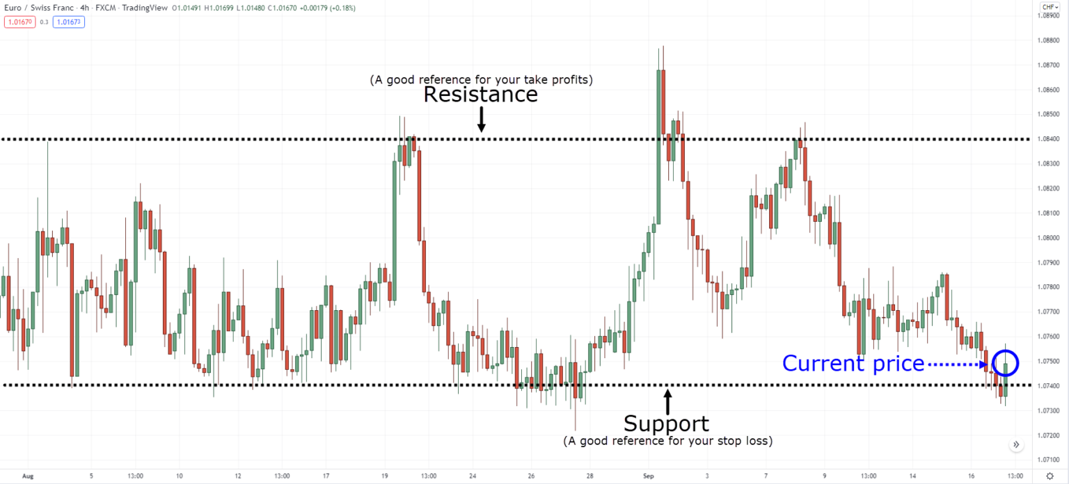 The Definitive Guide to Price Action Backtesting | TradingwithRayner