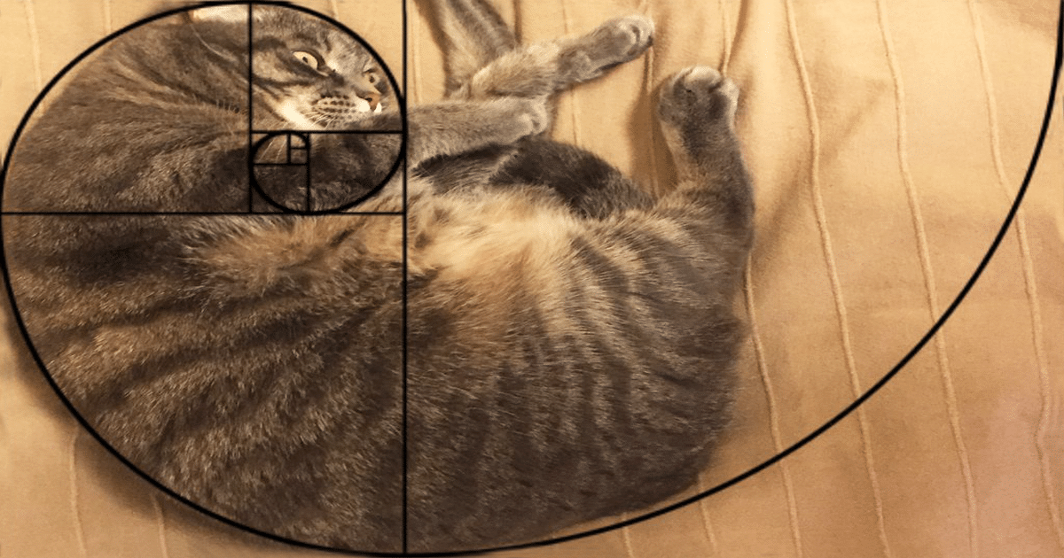 How to draw Fibonacci retracement