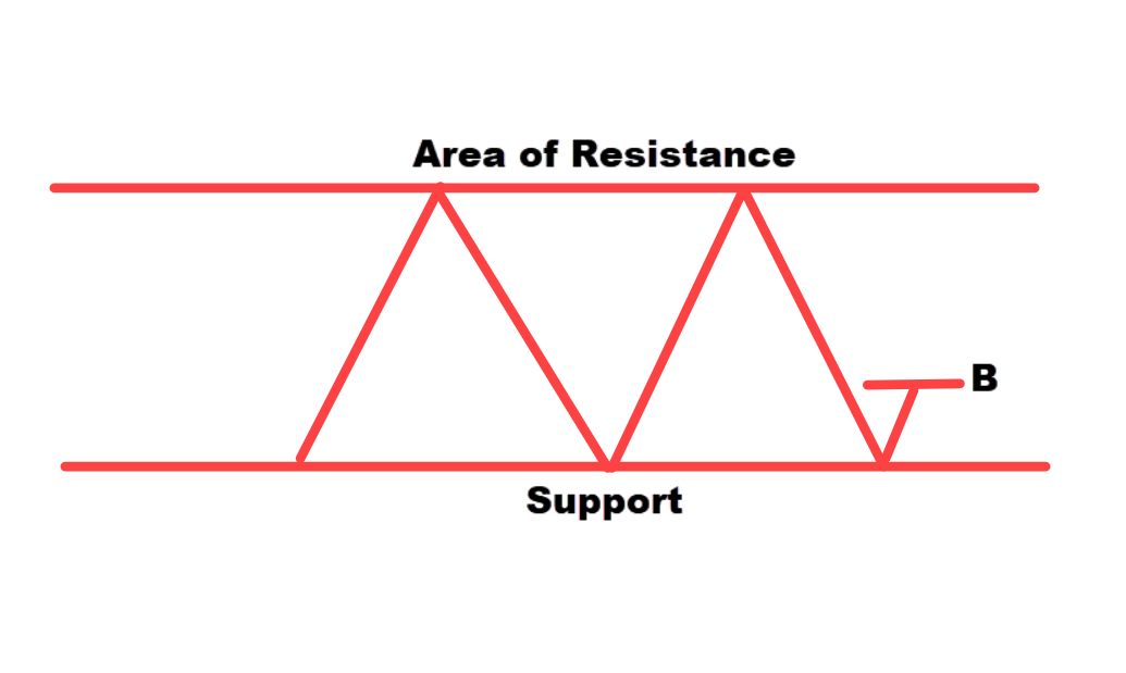 best trading advise